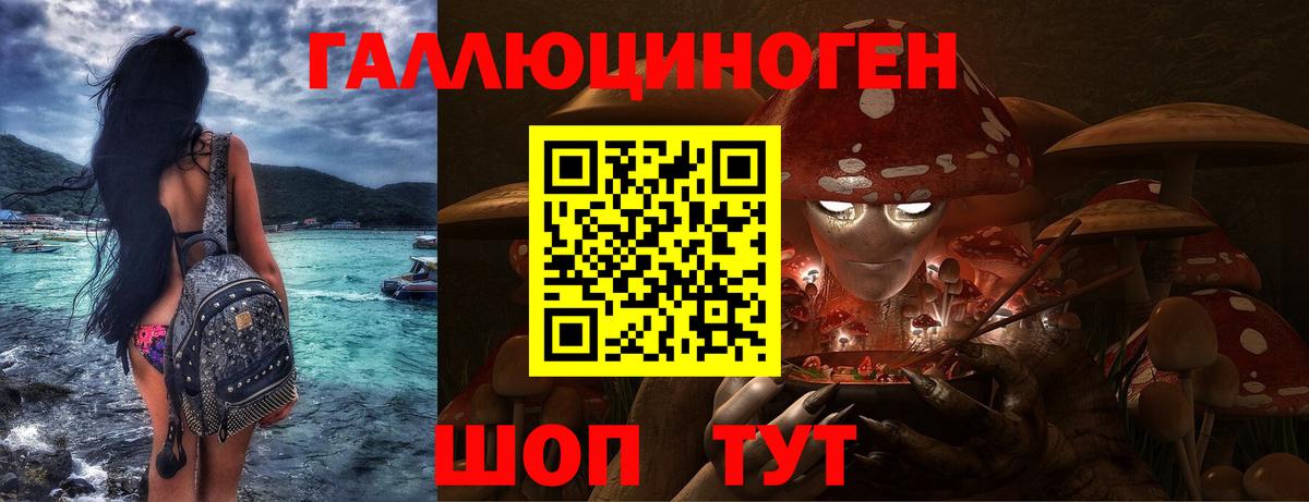 Звенигород  Псилоцибиновые грибы прущие грибы  Вход с VPN 